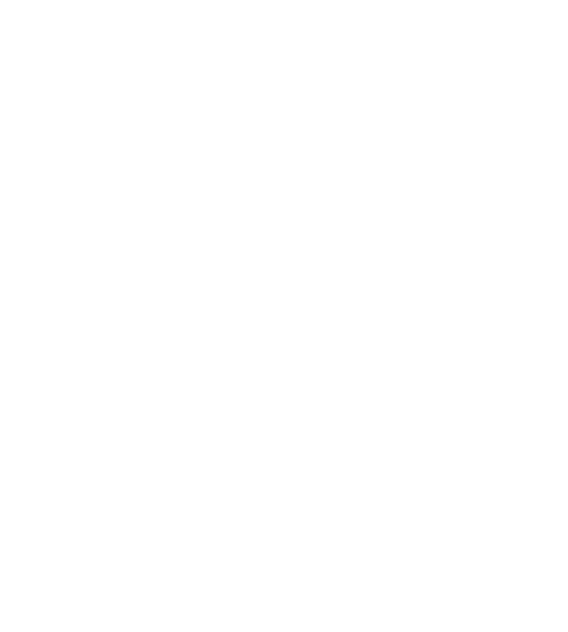 Cyclone Studios